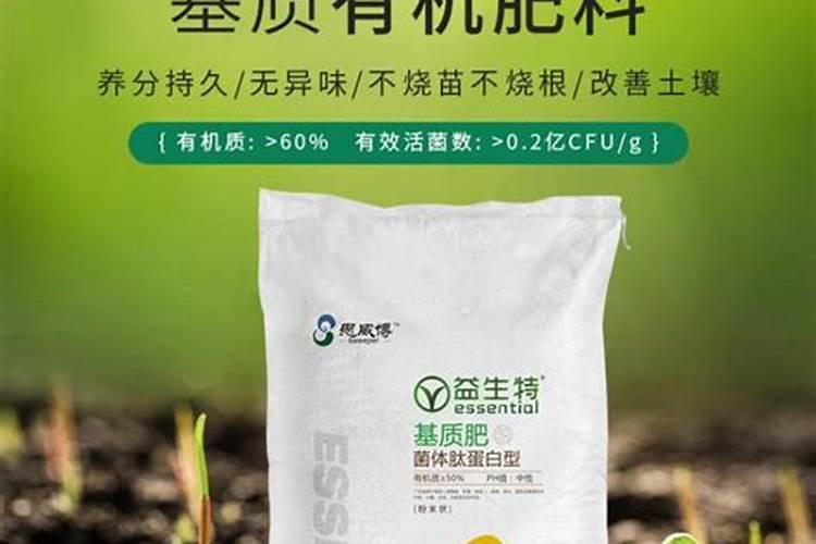 旱育秧苗床培肥的技术要点是什么？