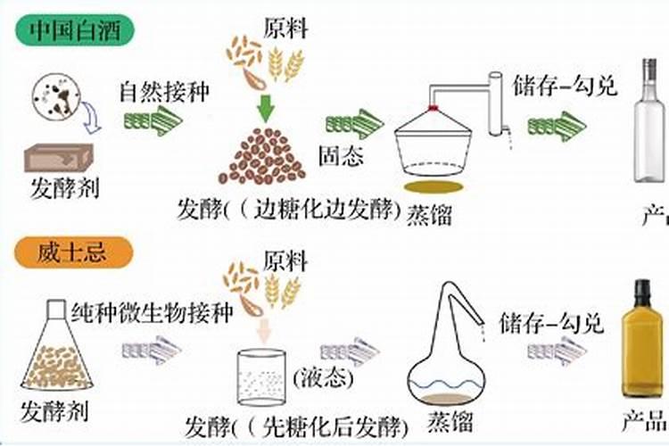 君子兰鸡蛋施肥正确方法