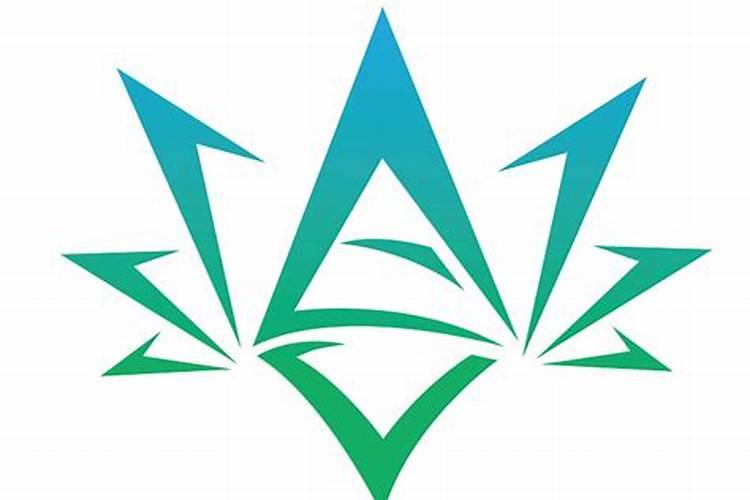 初中常见能吸水的物质(在试验中)