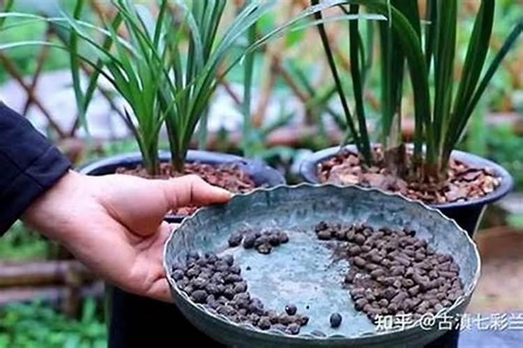 农民种地怎样合理使用肥料？