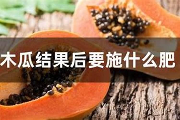 木瓜树施什么肥最好