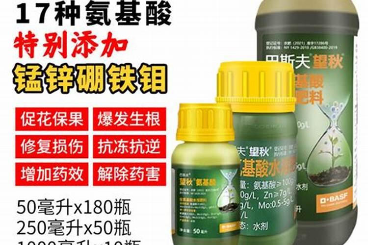 金桔盆栽时如何进行疏花疏果？