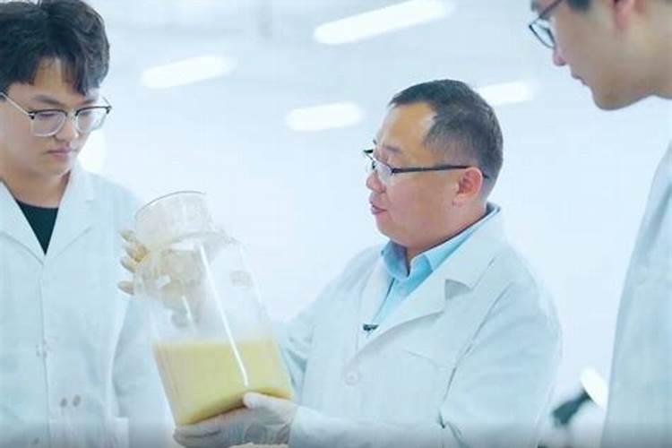 水稻什么时候打农药