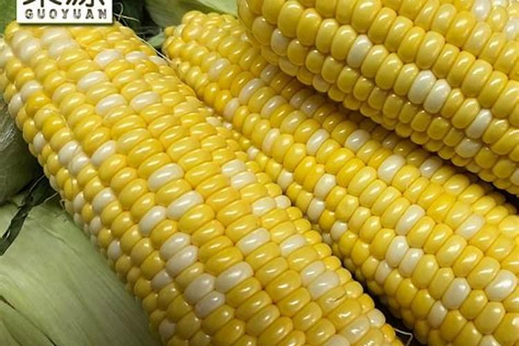 玉米用什么含量的肥料