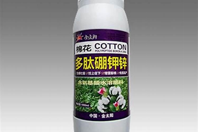 网纹甜瓜网纹稀少怎么办？预防网纹甜瓜网纹稀少的办法有哪些？