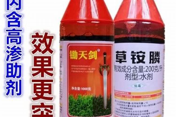 果树苗圃要如何正确使用除草剂