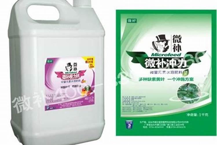 金弹子生桩多久发芽