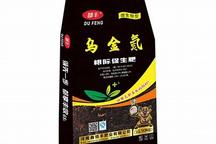 煤炭是怎样形成的作文