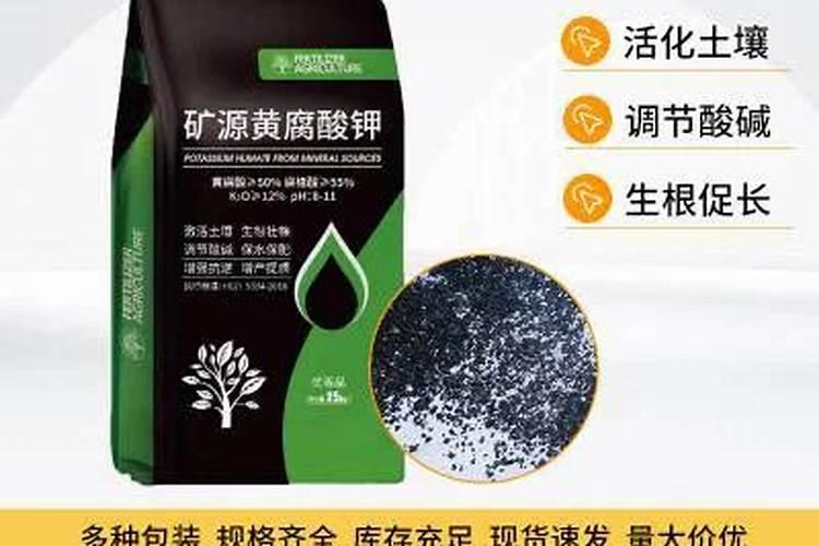 水稻叶尖发黑,还有点卷曲是什么