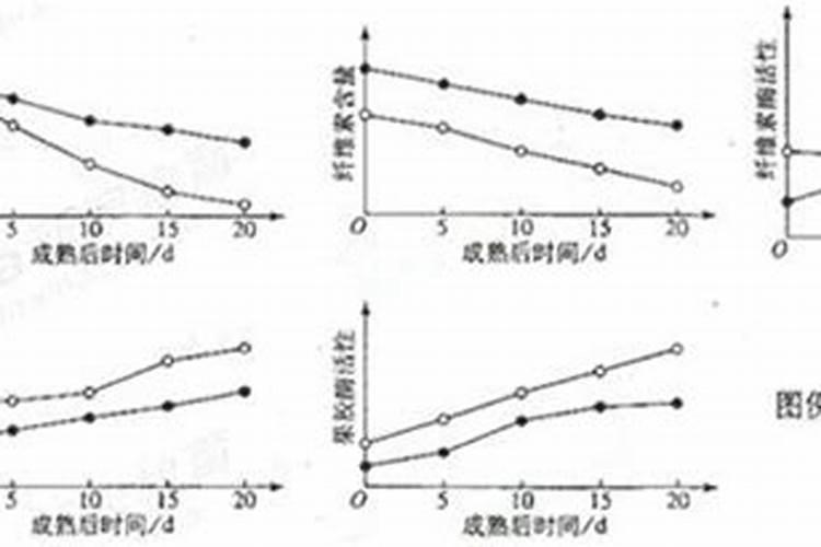 桃树硬核期后,喷施钙肥重要还是钾肥重要？