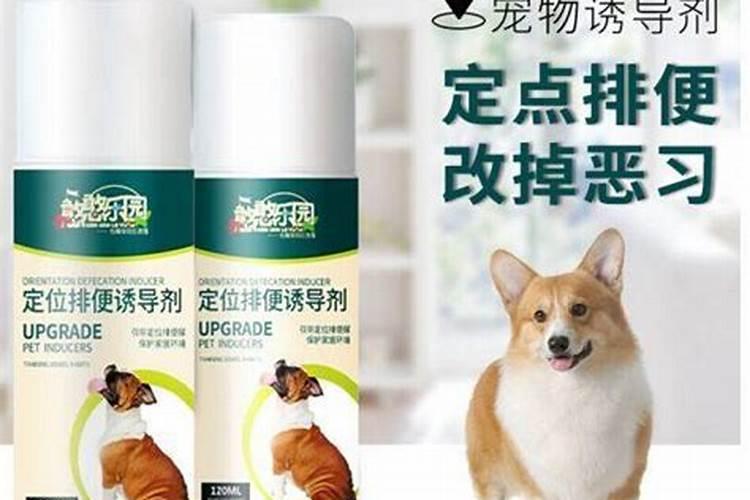 叶面肥增效剂作用