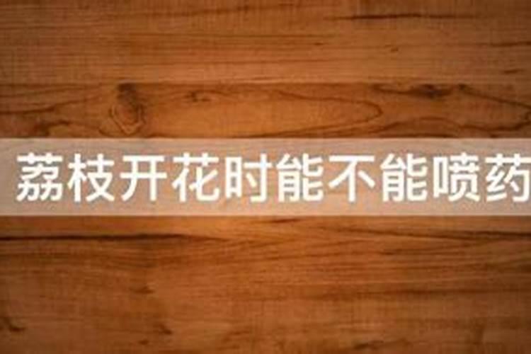 黄皮果施什么肥最好