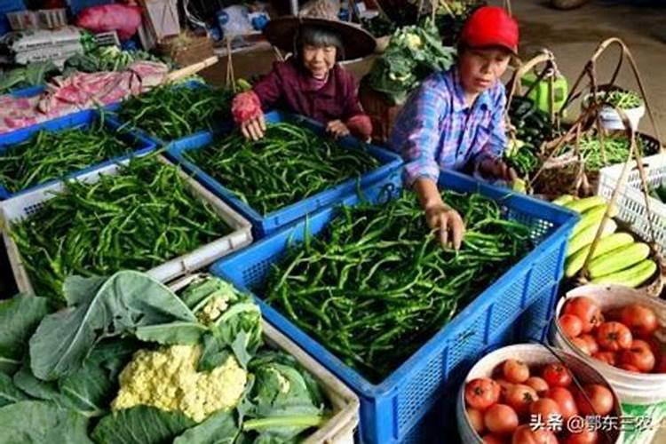 如果不用农药,不施化肥,怎样种出农产品