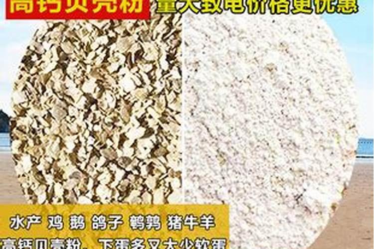 生蚝壳能不能放入月季花？
