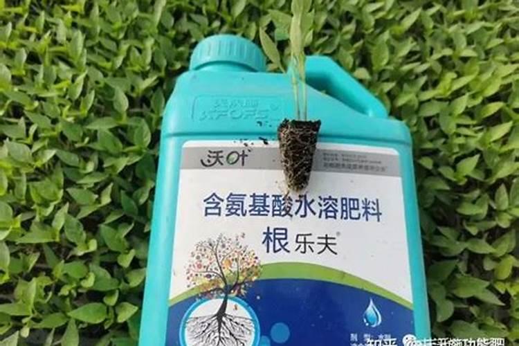 根多多生根水溶肥使用方法