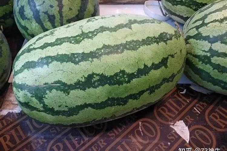西瓜膨果期用什么肥料