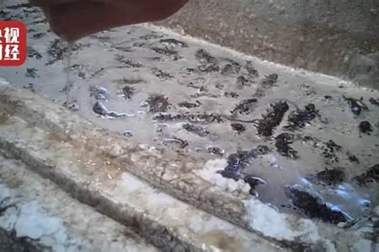 钙有哪些作用？怎样施用钙肥？