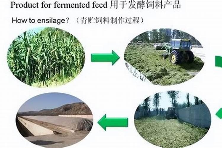 磷钾肥自制简单不花钱的方法