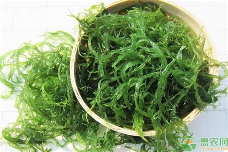 池塘肥水用什么肥好