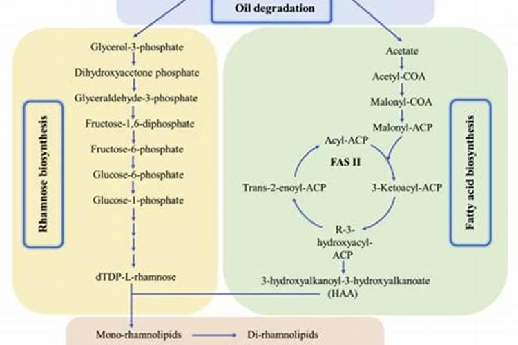 用什么方法可以降低腐植酸钾的PH值？(10左右降到7)谢谢老师