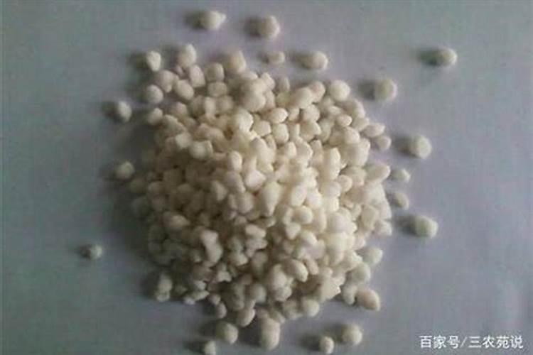 叶绿素中含N吗？