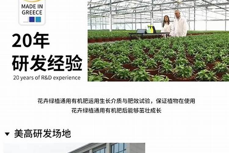 莆田海鲜特产,莆田旅游特产推荐