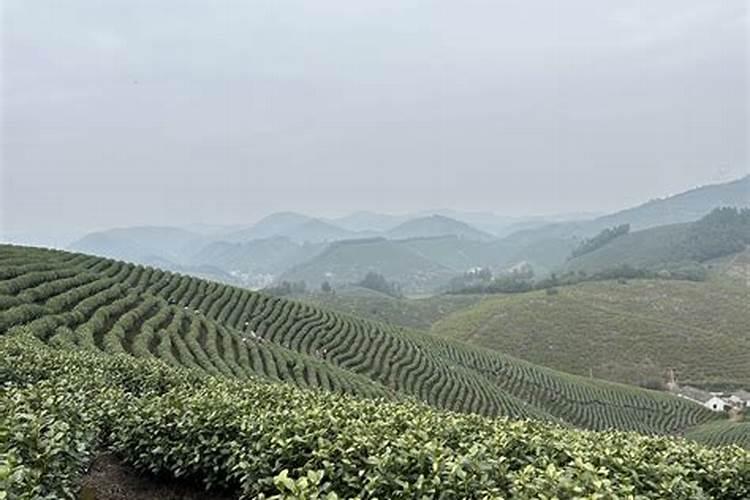 矿源黄腐酸钾和腐植酸的区别