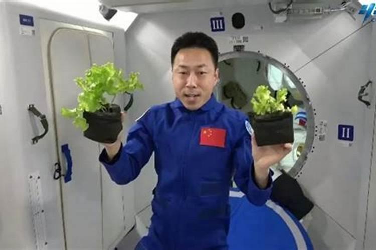 钾肥过量如何