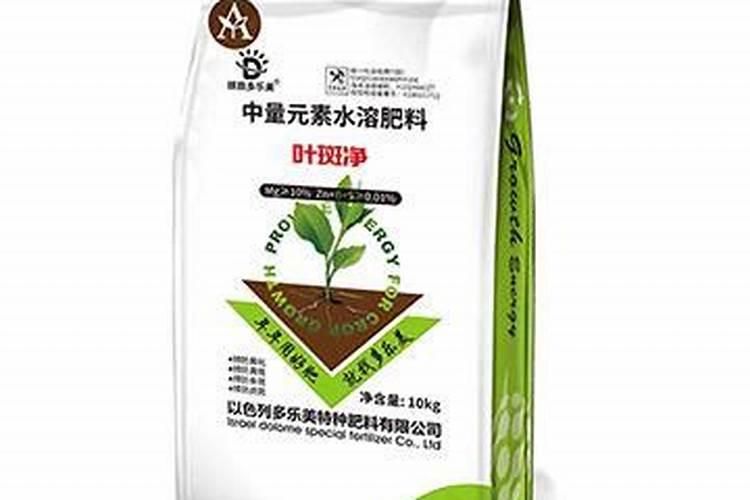 叶面肥可以灌根吗 叶面肥多长时间能吸收