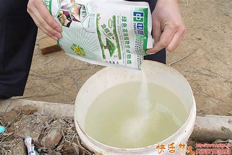 玉米最后一次肥在什么时候上