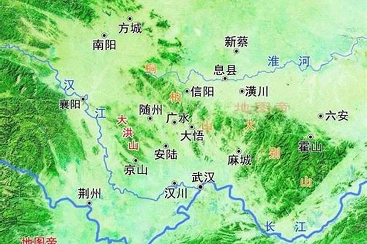在信阳哪里能买到芥菜种子？
