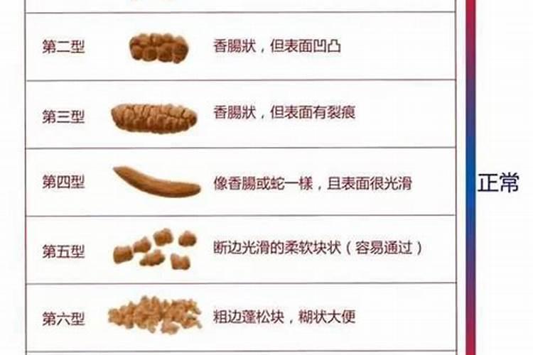 种葡萄用什么肥料？