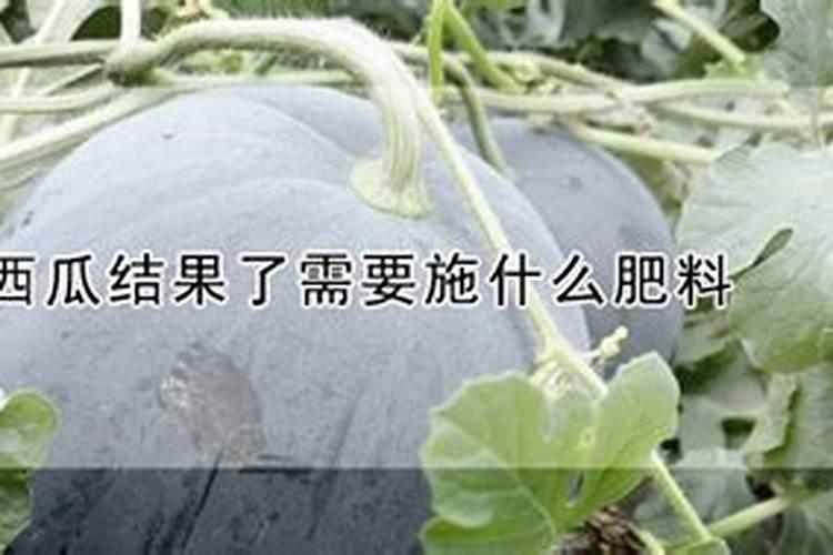 请问维生素及钙铁锌硒的作用是什么？