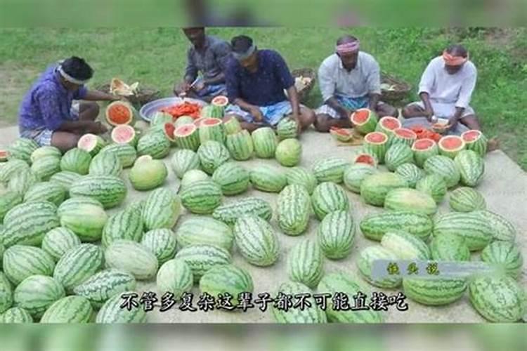 江苏省历年粮食产量总数 历年江苏各市产粮数据 江苏近十年粮食产量变化...