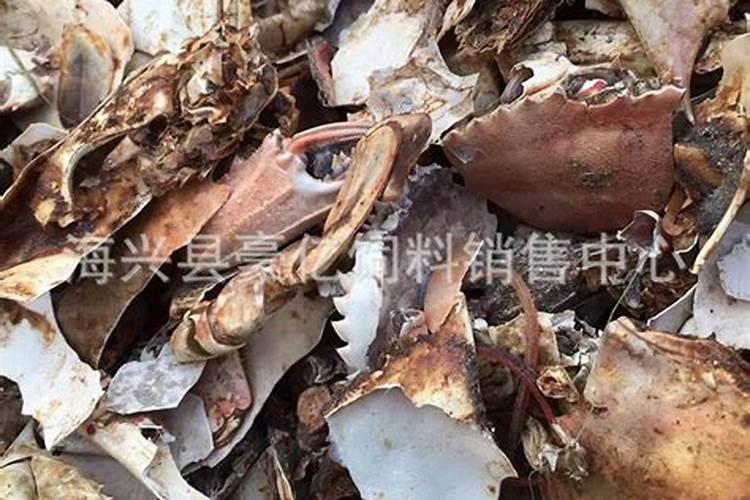 冬天温室黄瓜的栽培问题怎么施肥