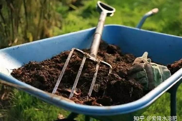 1斤水溶肥兑多少水