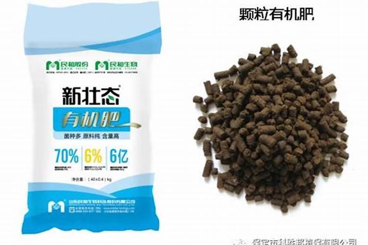 桂花树一般都使用什么叶面肥