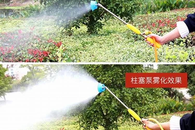 葡萄喷施叶面肥有哪些技巧？ 丙硫克百威的使用方法及注意事项
