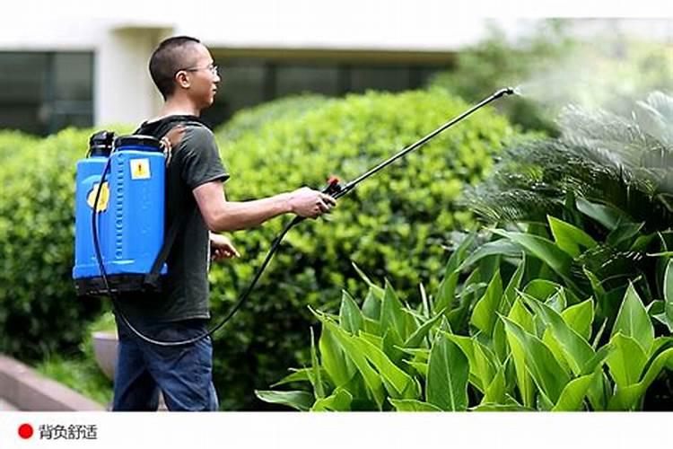 果树促花使用什么叶面肥？果树叶面肥喷施需要注意事项？