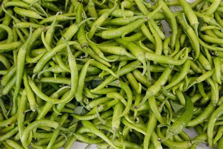 种植辣椒应该用什么叶面肥？老农是如何操作的？