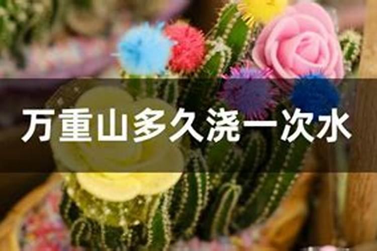 万重山怎么养