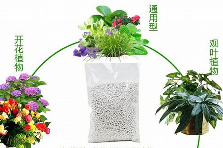 一般花草需要施什么肥花卉百科