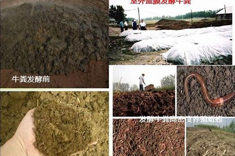 人的粪便怎么变成肥料