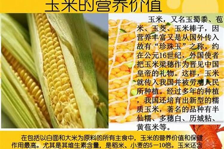 石榴籽几月份种植好