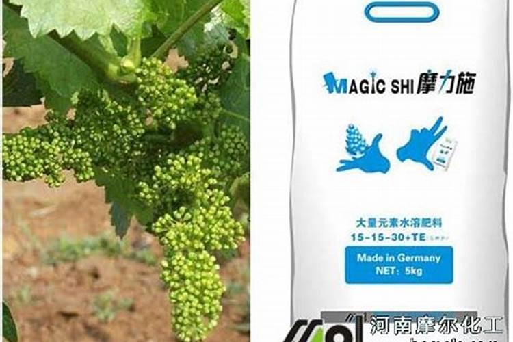 葡萄树什么时候施肥比较好。