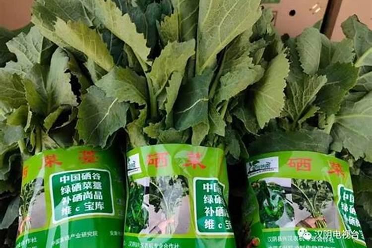 种植富硒蔬菜硒的合理使用方法及适合施肥量