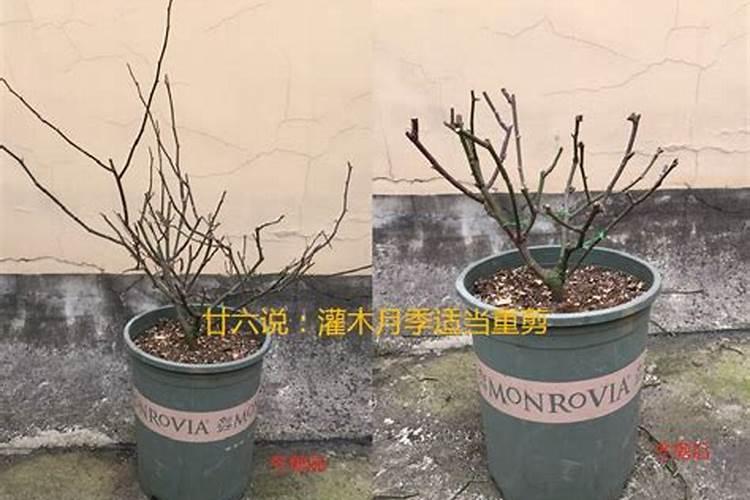 硝酸和氨水混合危险吗