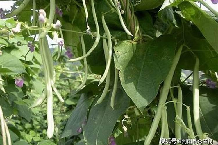 青海翡翠湖在哪个城市