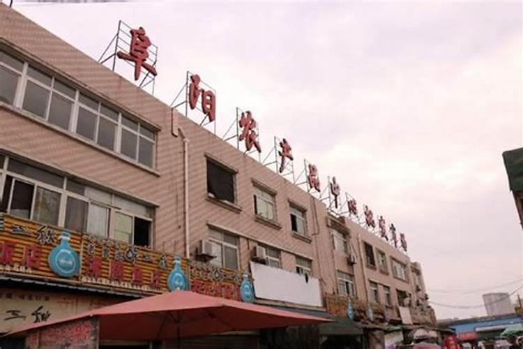 蔬菜常用的叶面肥有哪些种类？