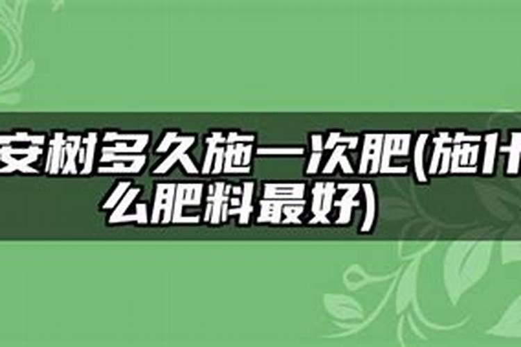 大蒜什么价格